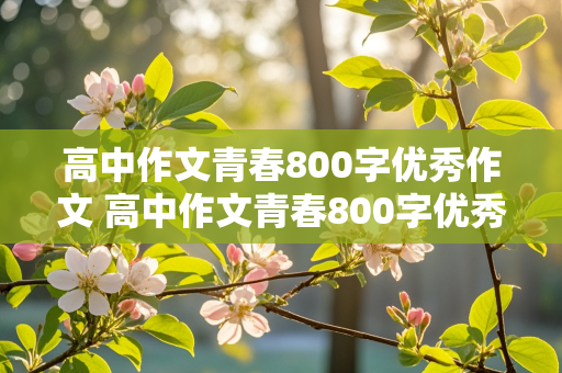 高中作文青春800字优秀作文 高中作文青春800字优秀作文记叙文