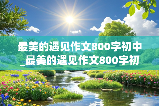 最美的遇见作文800字初中_最美的遇见作文800字初中作文