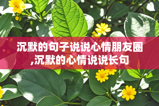 沉默的句子说说心情朋友圈,沉默的心情说说长句