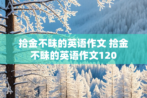 拾金不昧的英语作文 拾金不昧的英语作文120