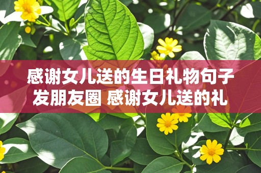 感谢女儿送的生日礼物句子发朋友圈 感谢女儿送的礼物说说