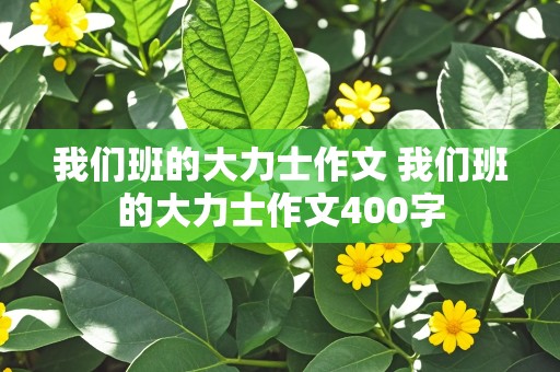 我们班的大力士作文 我们班的大力士作文400字