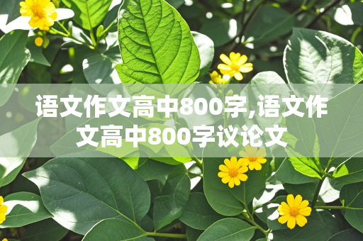 语文作文高中800字,语文作文高中800字议论文