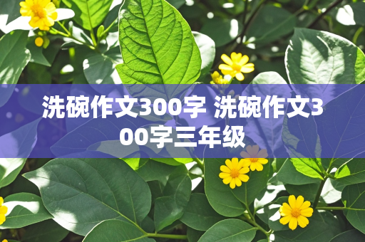 洗碗作文300字 洗碗作文300字三年级