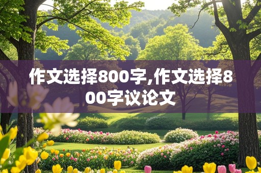 作文选择800字,作文选择800字议论文