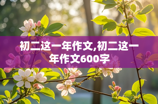 初二这一年作文,初二这一年作文600字