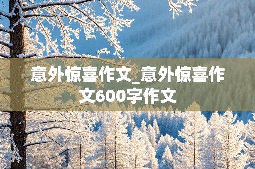 意外惊喜作文_意外惊喜作文600字作文