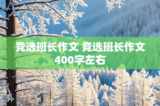 竞选班长作文 竞选班长作文400字左右