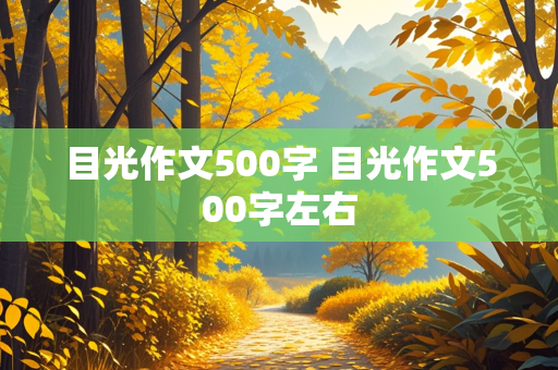 目光作文500字 目光作文500字左右