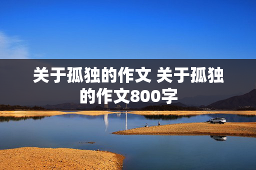 关于孤独的作文 关于孤独的作文800字