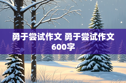 勇于尝试作文 勇于尝试作文600字