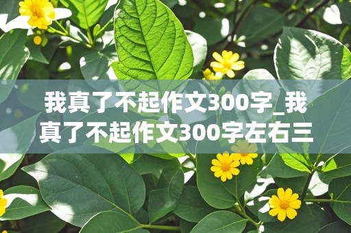 我真了不起作文300字_我真了不起作文300字左右三年级