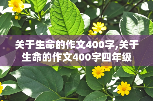 关于生命的作文400字,关于生命的作文400字四年级