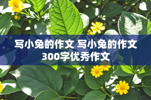 写小兔的作文 写小兔的作文300字优秀作文