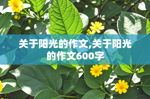 关于阳光的作文,关于阳光的作文600字