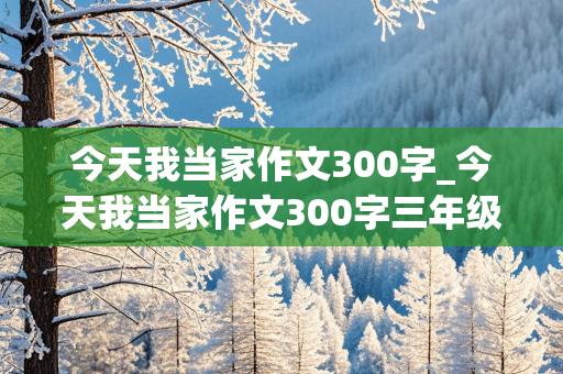 今天我当家作文300字_今天我当家作文300字三年级