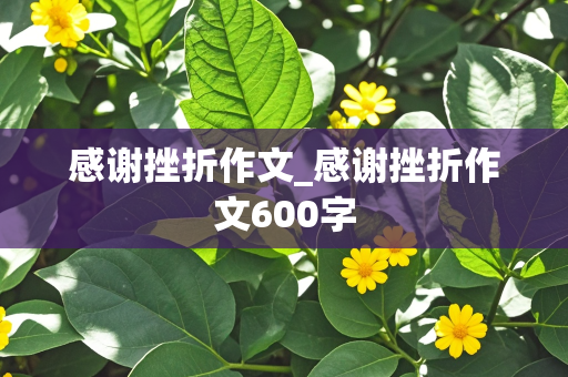 感谢挫折作文_感谢挫折作文600字