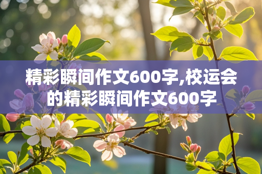 精彩瞬间作文600字,校运会的精彩瞬间作文600字