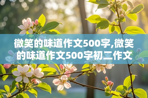 微笑的味道作文500字,微笑的味道作文500字初二作文