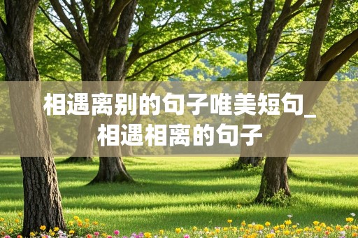 相遇离别的句子唯美短句_相遇相离的句子