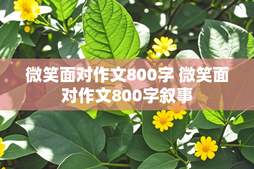 微笑面对作文800字 微笑面对作文800字叙事