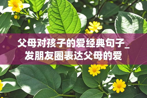 父母对孩子的爱经典句子_发朋友圈表达父母的爱