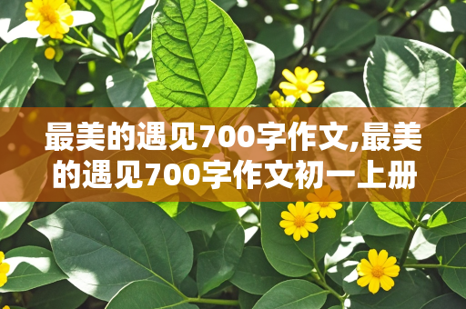 最美的遇见700字作文,最美的遇见700字作文初一上册