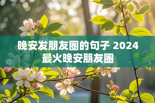 晚安发朋友圈的句子 2024最火晚安朋友圈