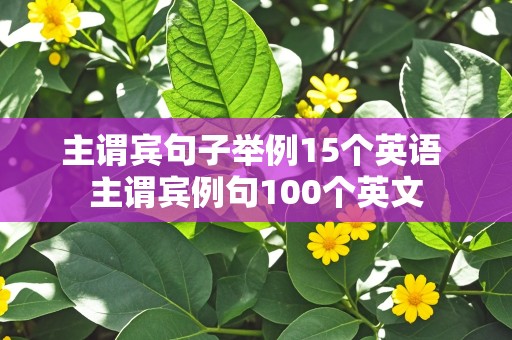 主谓宾句子举例15个英语 主谓宾例句100个英文