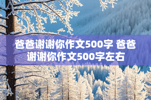 爸爸谢谢你作文500字 爸爸谢谢你作文500字左右