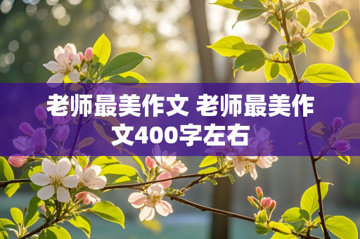 老师最美作文 老师最美作文400字左右