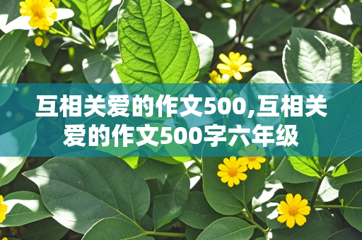 互相关爱的作文500,互相关爱的作文500字六年级