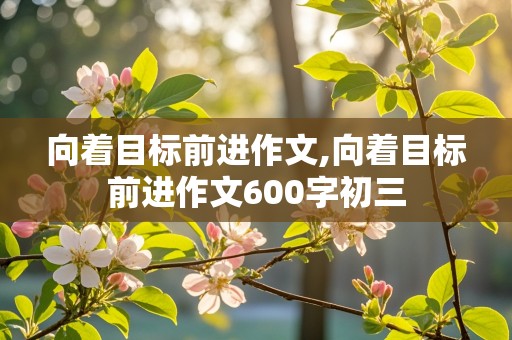 向着目标前进作文,向着目标前进作文600字初三