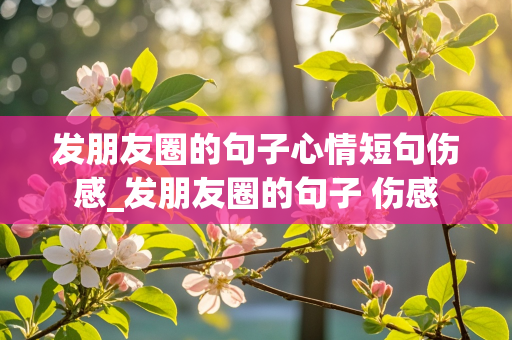 发朋友圈的句子心情短句伤感_发朋友圈的句子 伤感