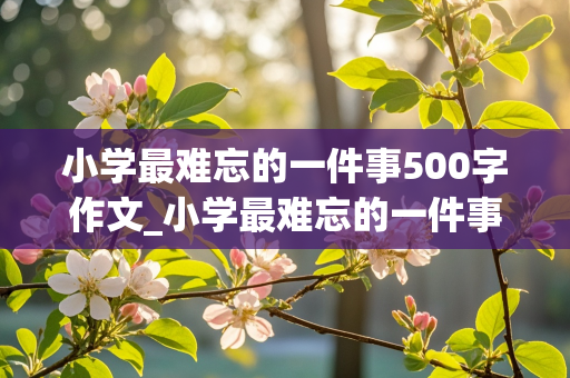 小学最难忘的一件事500字作文_小学最难忘的一件事500字作文六年级下册的