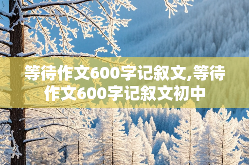 等待作文600字记叙文,等待作文600字记叙文初中