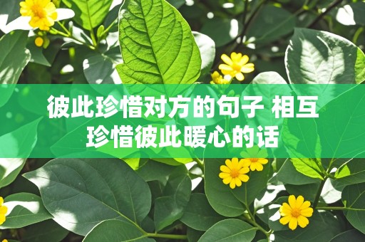 彼此珍惜对方的句子 相互珍惜彼此暖心的话