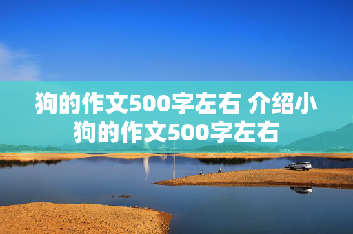 狗的作文500字左右 介绍小狗的作文500字左右