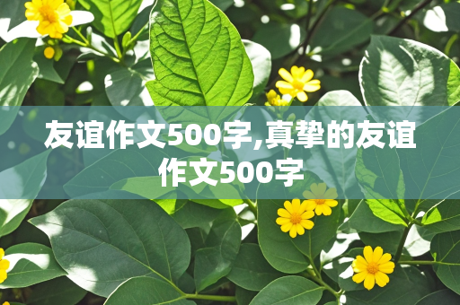 友谊作文500字,真挚的友谊作文500字