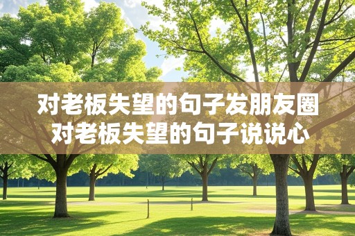 对老板失望的句子发朋友圈 对老板失望的句子说说心情