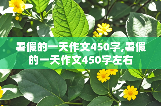 暑假的一天作文450字,暑假的一天作文450字左右