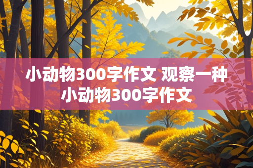 小动物300字作文 观察一种小动物300字作文