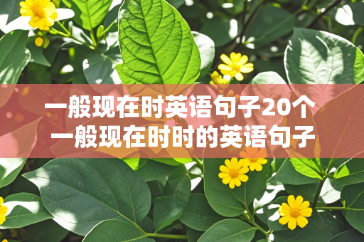 一般现在时英语句子20个 一般现在时时的英语句子