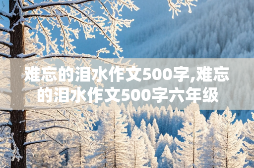 难忘的泪水作文500字,难忘的泪水作文500字六年级