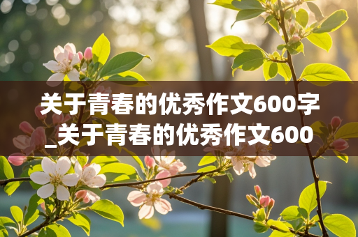 关于青春的优秀作文600字_关于青春的优秀作文600字左右