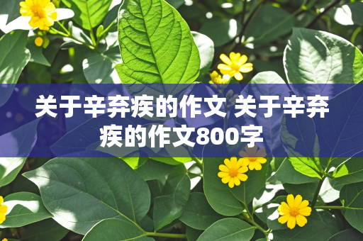 关于辛弃疾的作文 关于辛弃疾的作文800字