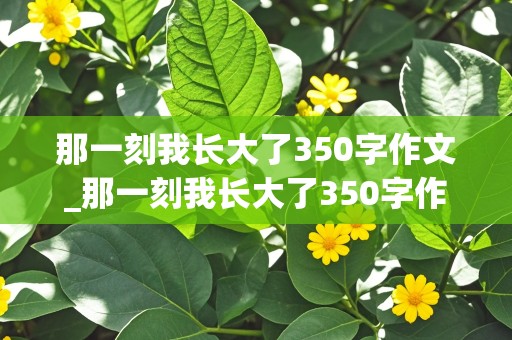 那一刻我长大了350字作文_那一刻我长大了350字作文骑自行车