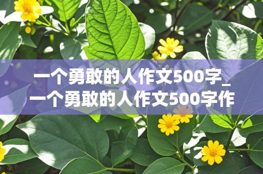 一个勇敢的人作文500字_一个勇敢的人作文500字作文