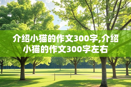 介绍小猫的作文300字,介绍小猫的作文300字左右