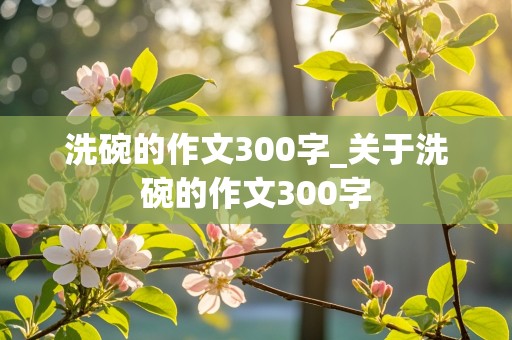 洗碗的作文300字_关于洗碗的作文300字